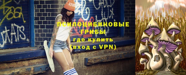 индика Балабаново